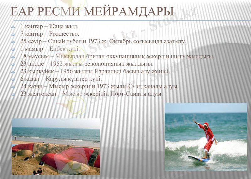 Slide 8