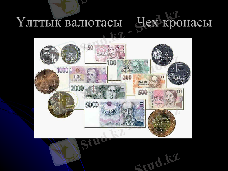 Slide 11