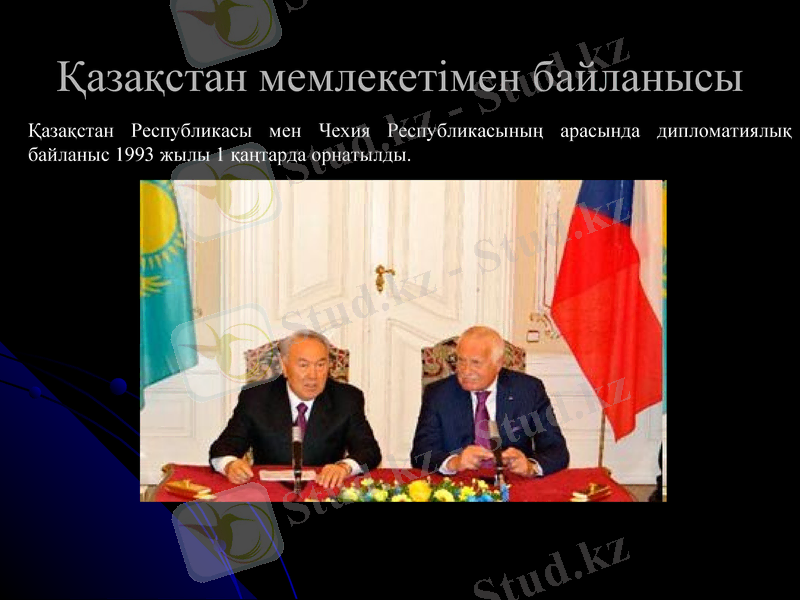 Slide 12