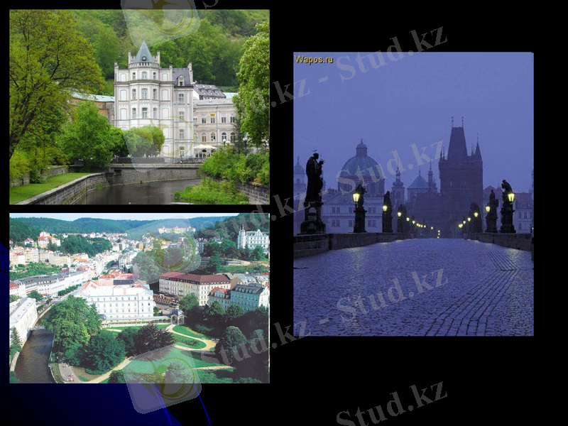 Slide 6