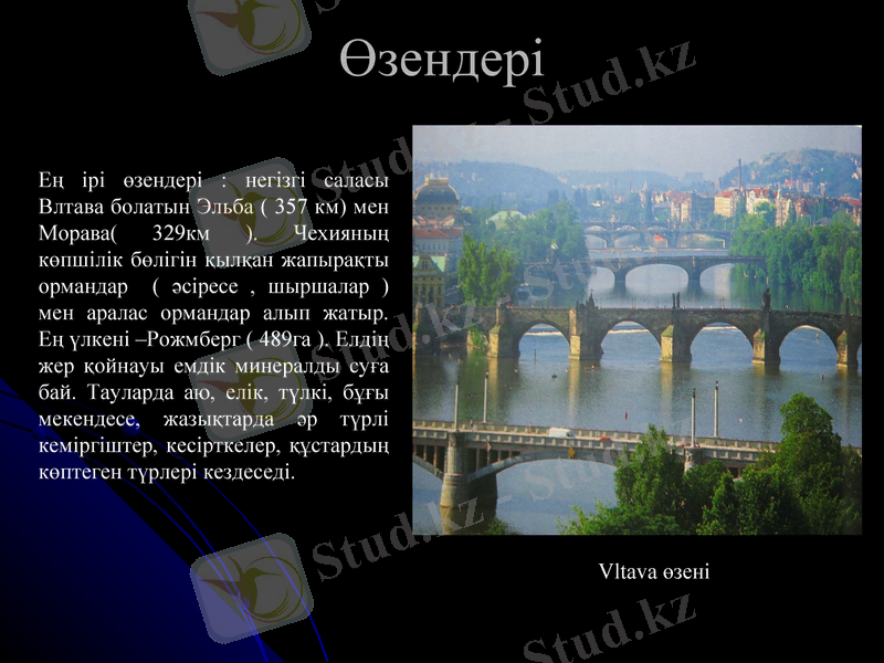 Slide 7