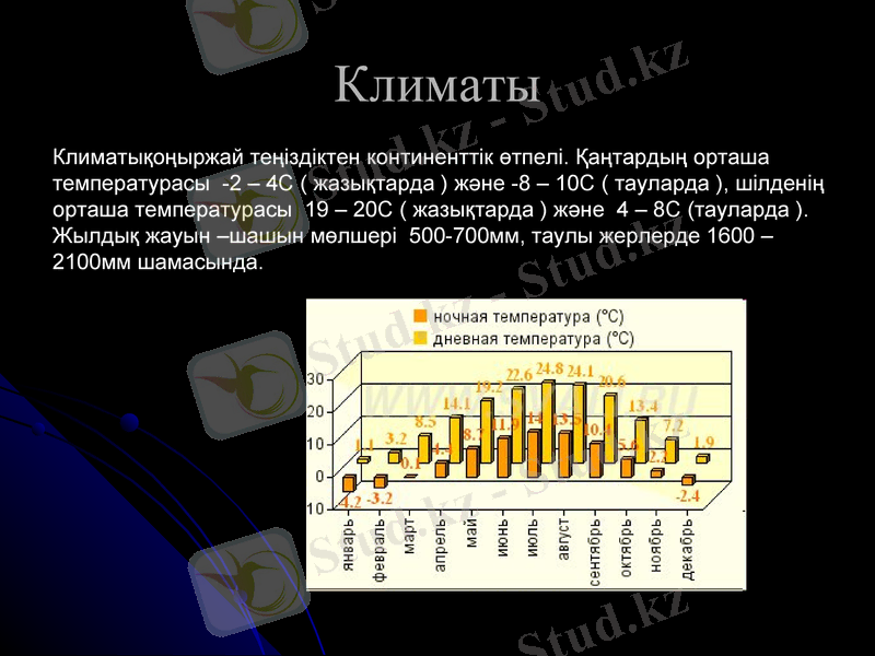 Slide 8