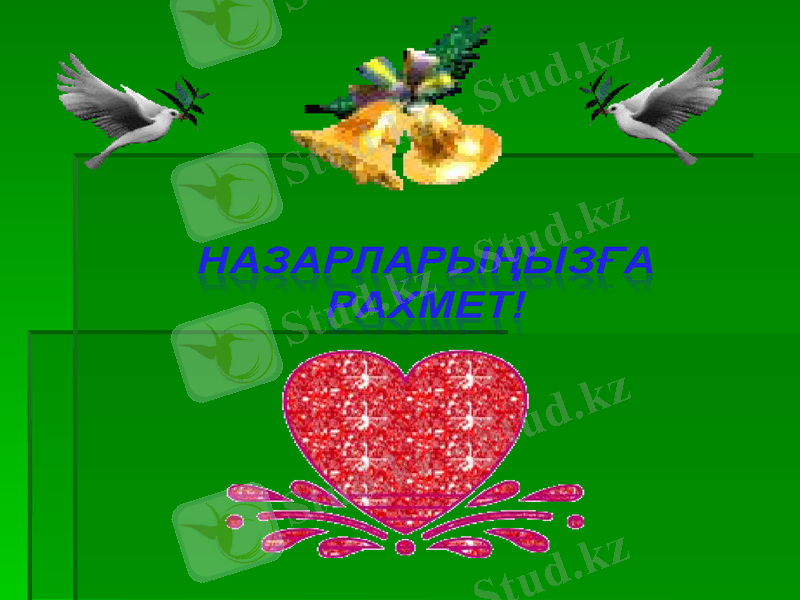 Slide 13