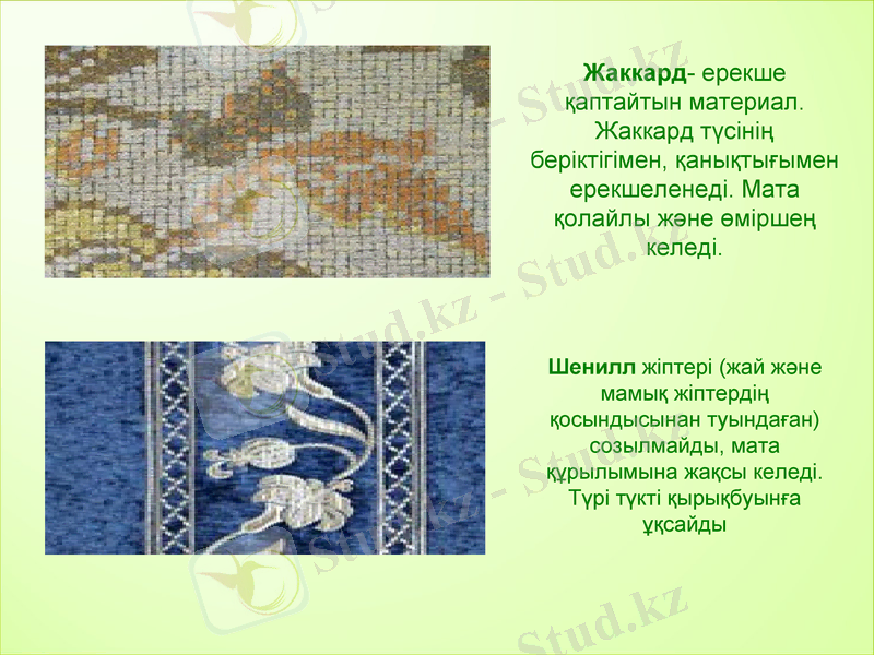Slide 7