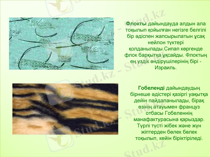 Slide 8