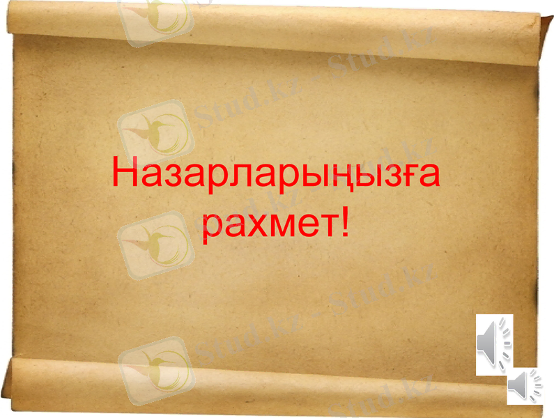 Slide 13