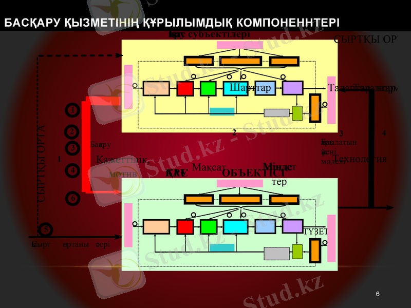 Slide 6