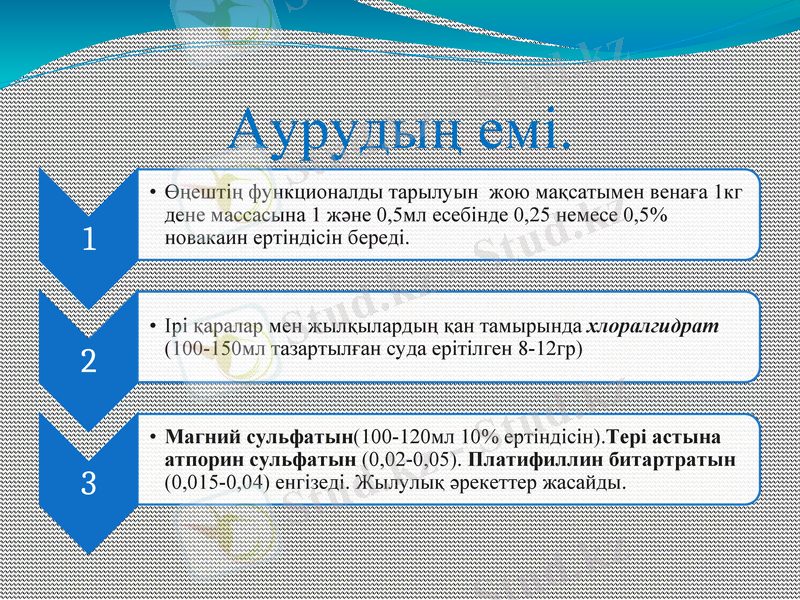 Slide 10