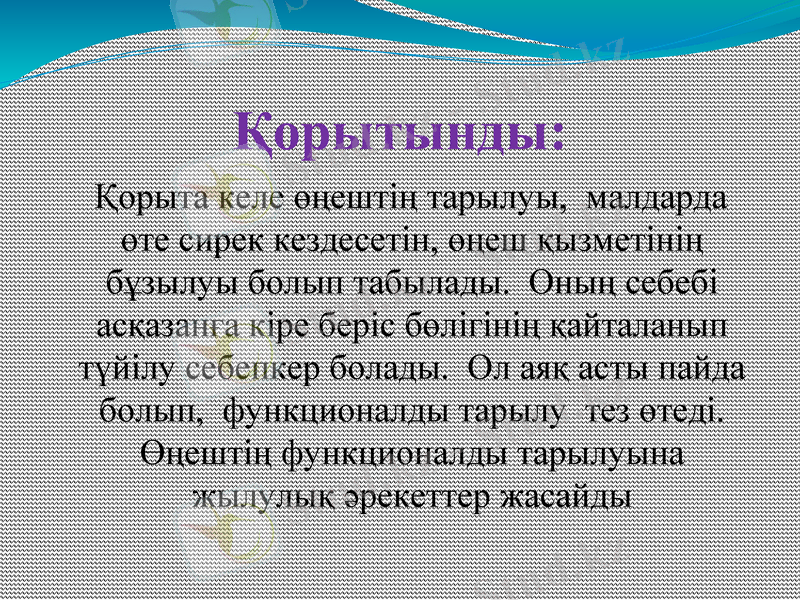 Slide 11