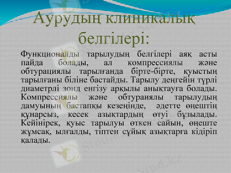 Slide 6