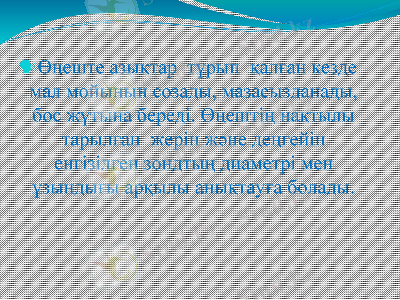 Slide 8