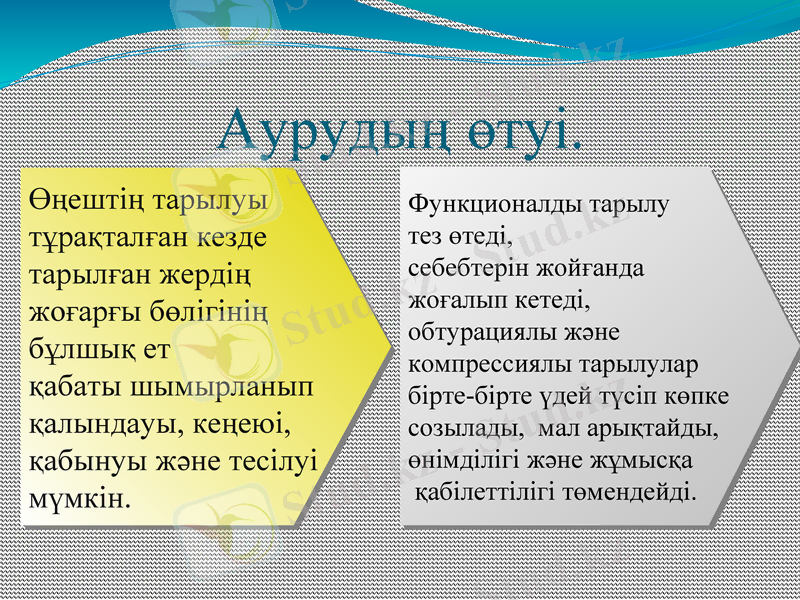 Slide 9