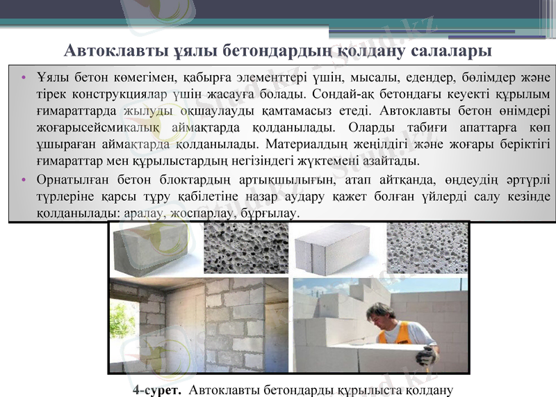Slide 8