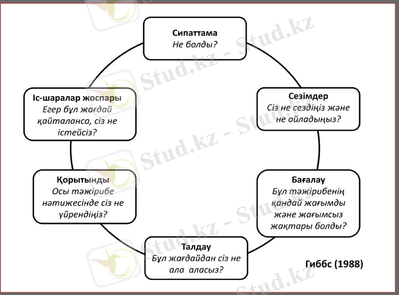 Slide 13