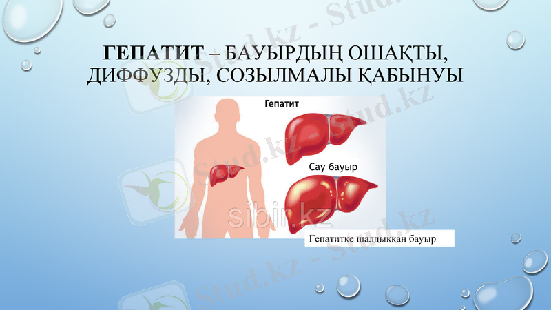 Slide 10