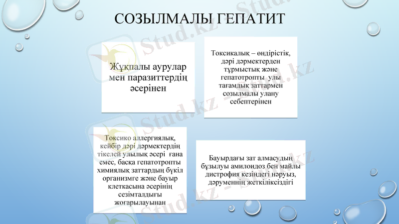 Slide 11