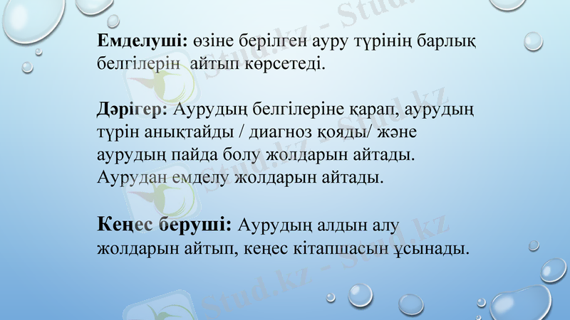 Slide 13