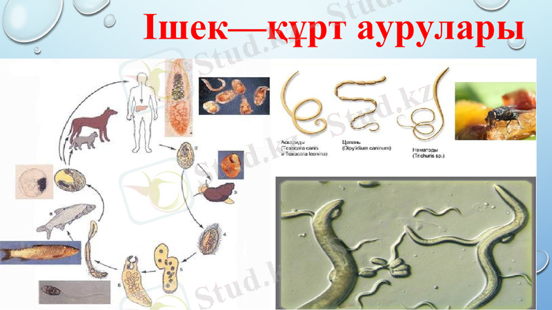 Slide 16
