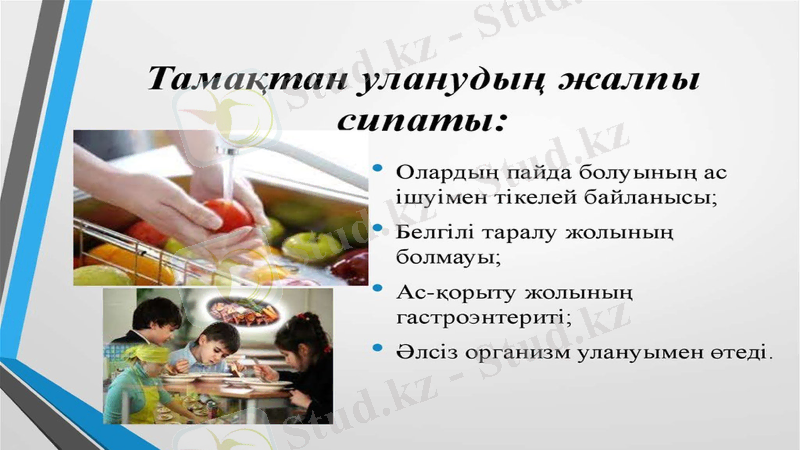 Slide 17