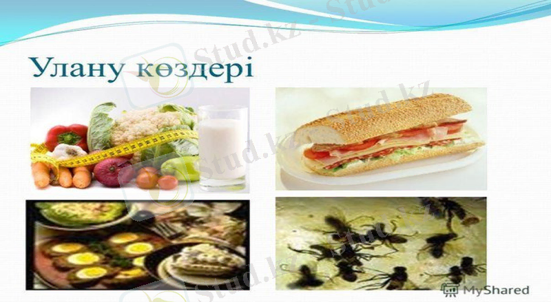 Slide 18