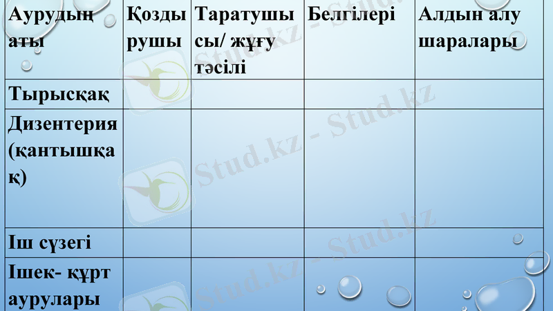 Slide 24