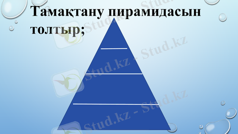 Slide 25
