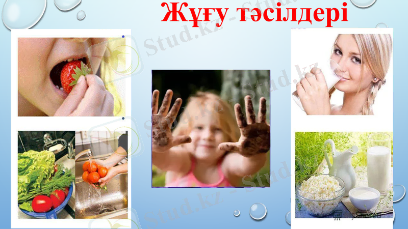 Slide 5