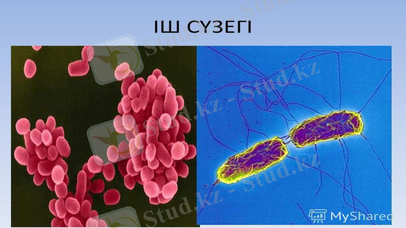 Slide 6