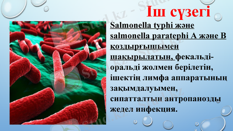 Slide 7