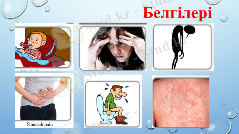 Slide 8