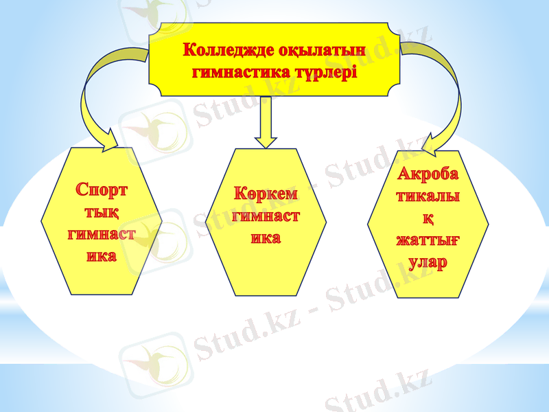 Slide 10