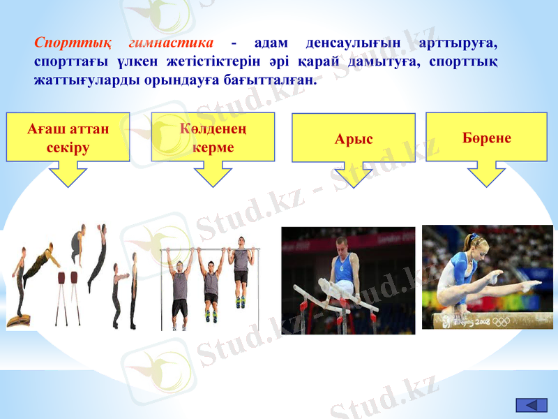 Slide 11