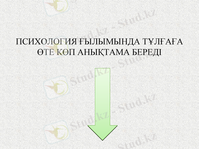 Slide 11