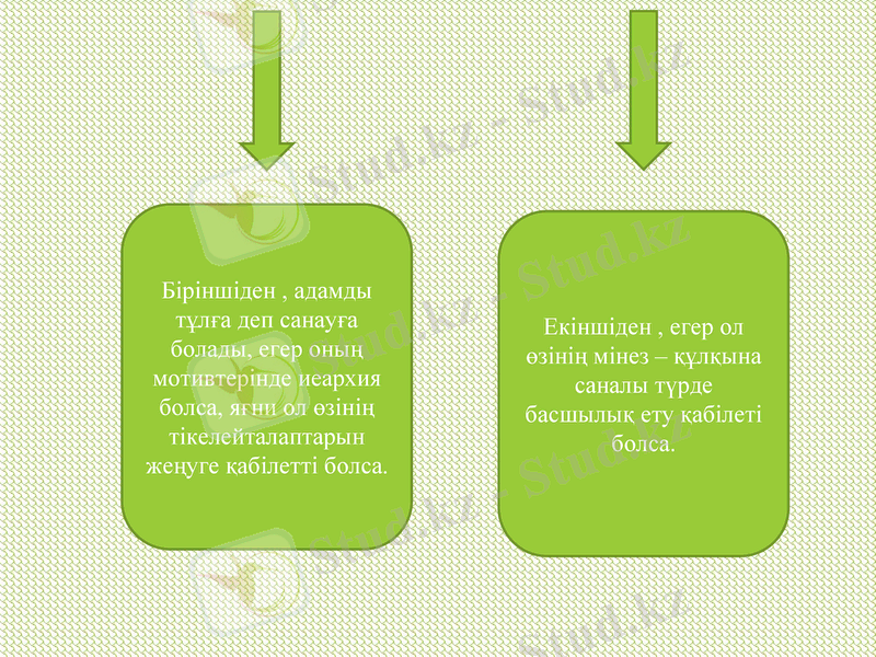 Slide 13
