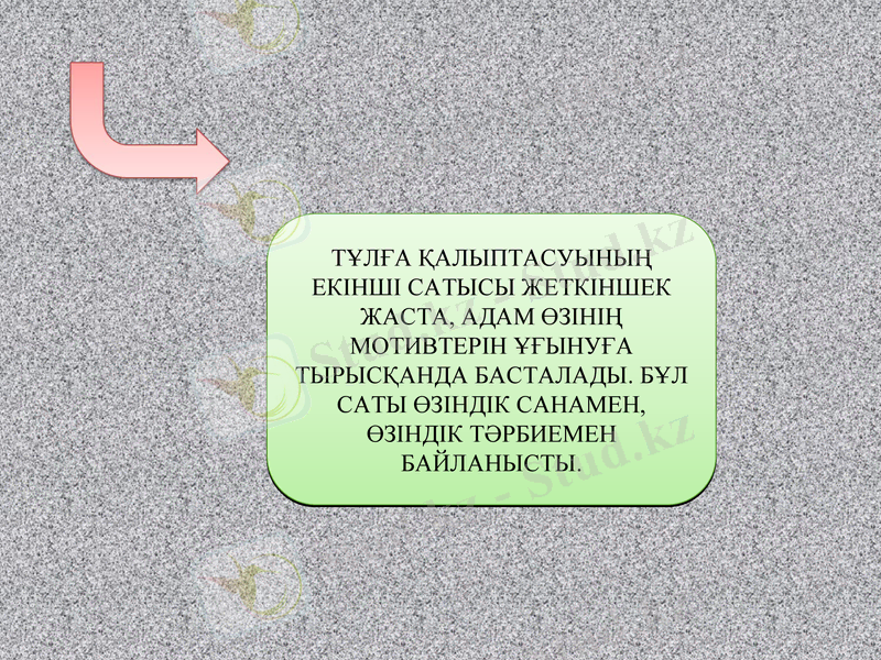 Slide 17
