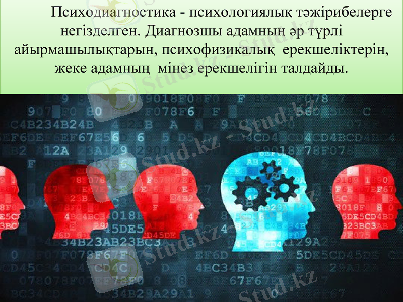 Slide 22