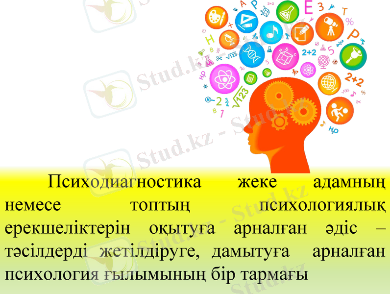 Slide 24