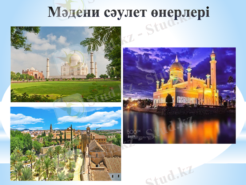 Slide 11