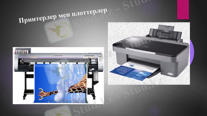 Slide 11