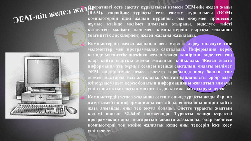 Slide 6