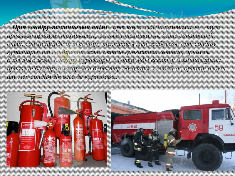 Slide 11