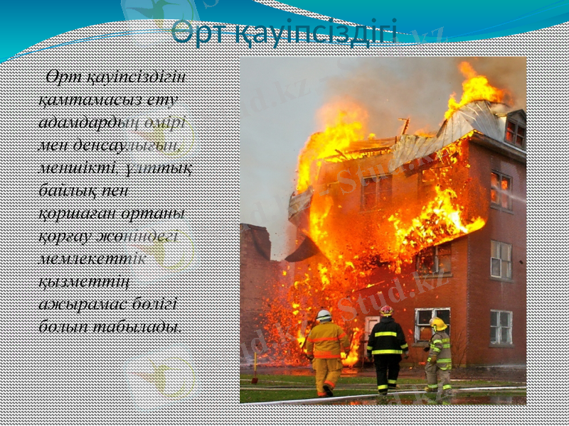Slide 6