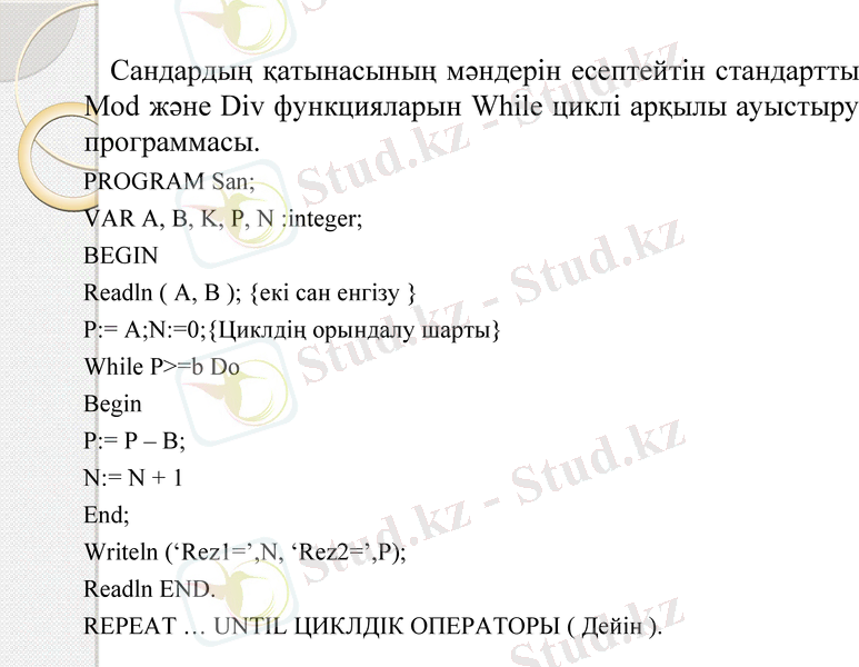 Slide 8