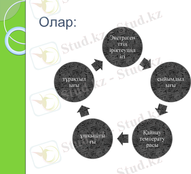 Slide 11