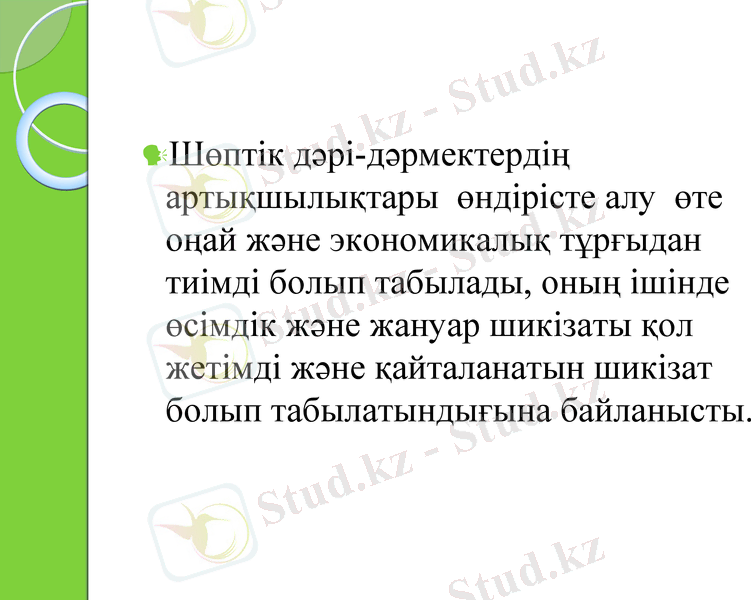 Slide 7