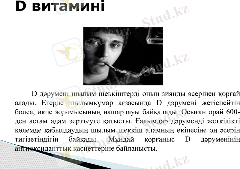 Slide 11