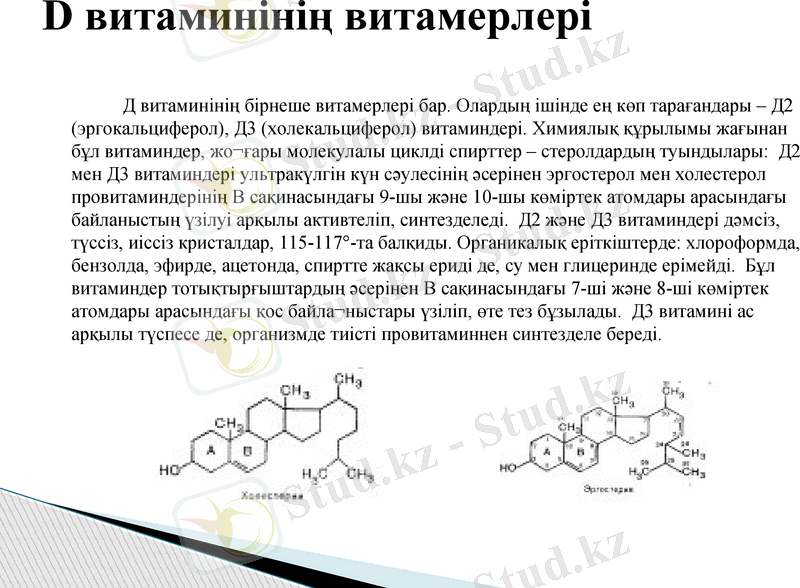 Slide 12