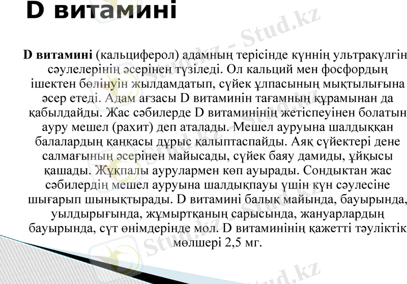 Slide 6