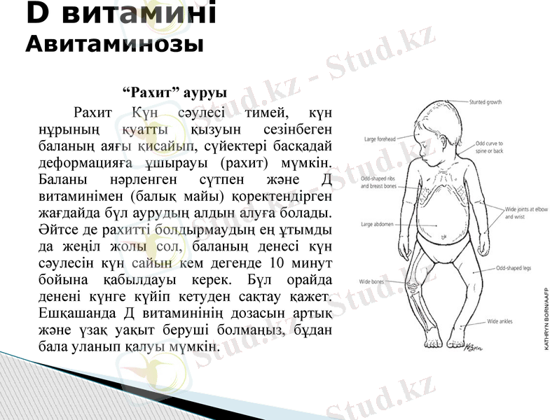 Slide 7