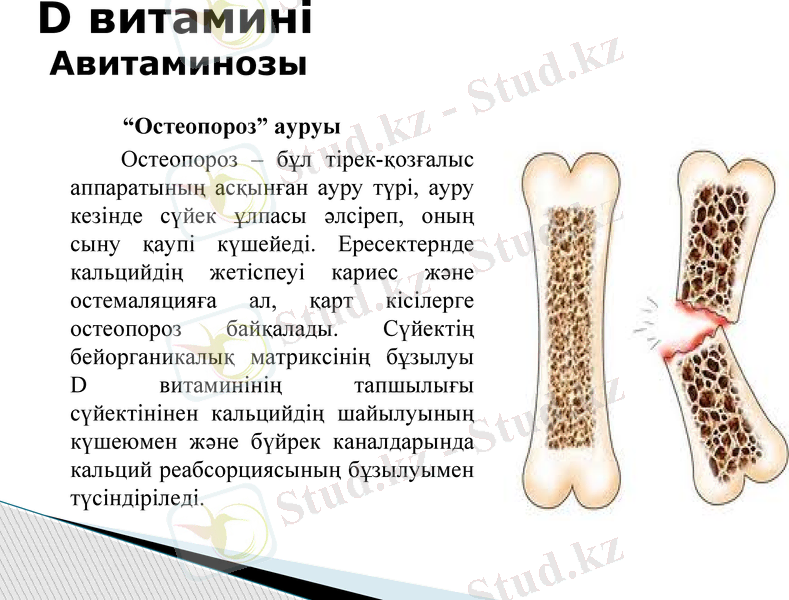 Slide 8